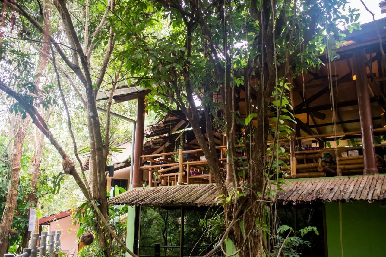 Guest house Hot Coffee And Ban Mae Na Chon